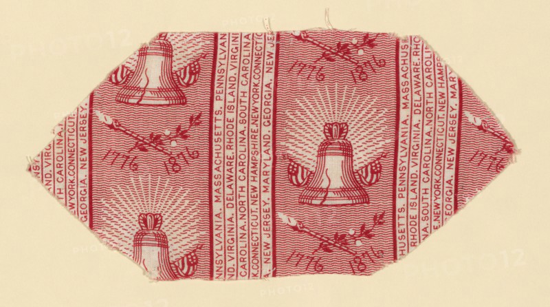 Fragment, 1876, United States, Cotton, plain weave, roller printed, 10.5 × 21.5 cm (4 1/4 × 8 1/2 in.)