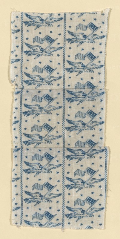 Fragment, 1876, United States, Cotton, plain weave, roller printed, 18.5 × 8 cm (7 1/4 × 3 1/8 in.)