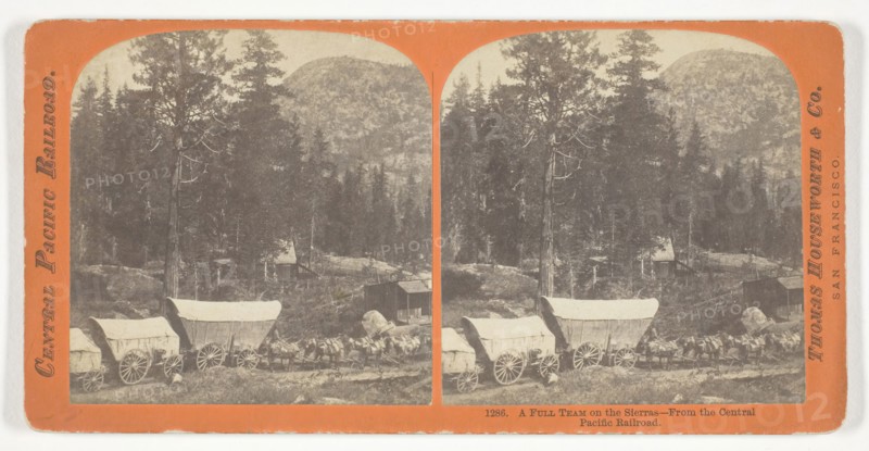 A Full Team on the Sierras, From the Central Pacific Railroad, 1867, Thomas Houseworth & Co., American, 1828–1915, United States, Albumen print, stereo, No. 1286 from the series "Central Pacific Railroad