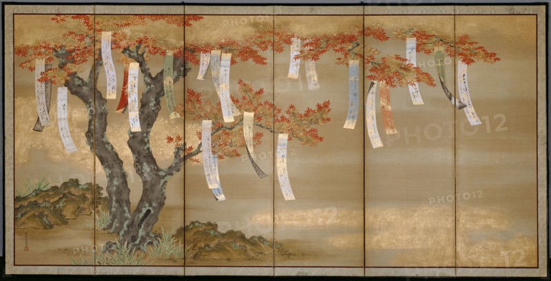 Autumn Maples with Poem Slips, c. 1675, Tosa Mitsuoki, Japanese, 1617-1691, Japan, Six-panel screen (one of pair), Ink, colors, gold leaf, and gold powder on silk, 144 × 286 cm