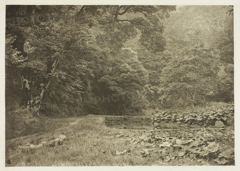 A Quiet Nook in Beresford Dale, 1880s, Peter Henry Emerson, English, born Cuba, 1856–1936, England, Photogravure, plate LIII from the album "The Compleat Angler or the Contemplative Man's Recreation, Volume II" (1888), edition 109/250, 14.3 × 20.1 cm (image), 16.4 × 22.1 cm (paper), 24.6 × 32.4 cm (album page)