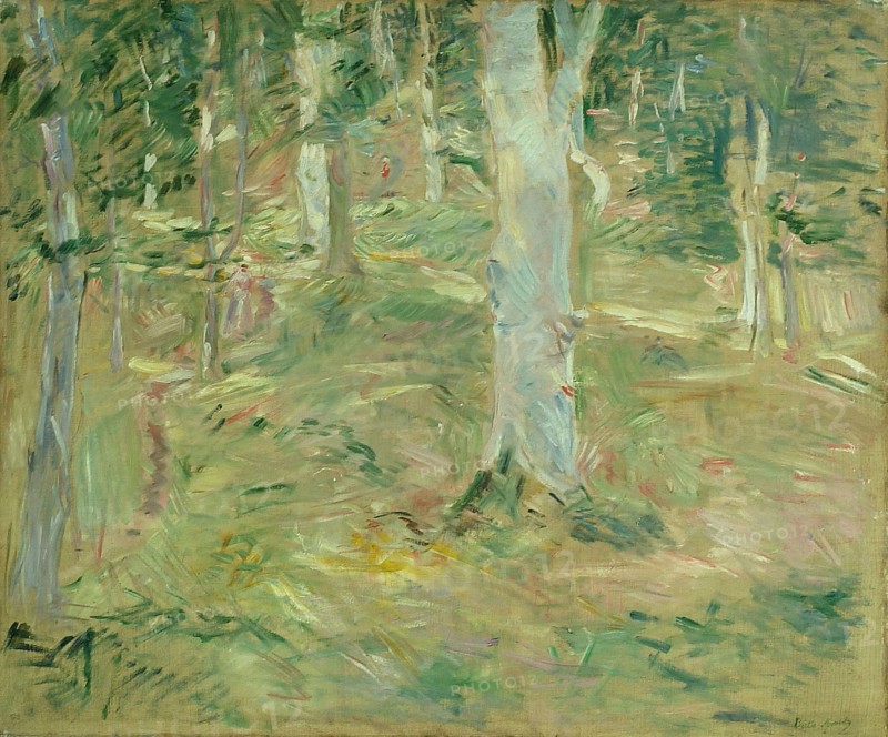Forêt de Compiègne, 1885, Berthe Morisot, French, 1841-1895, France, Oil on canvas, 21 3/8 × 25 1/2 in. (54.2 × 64.8 cm)