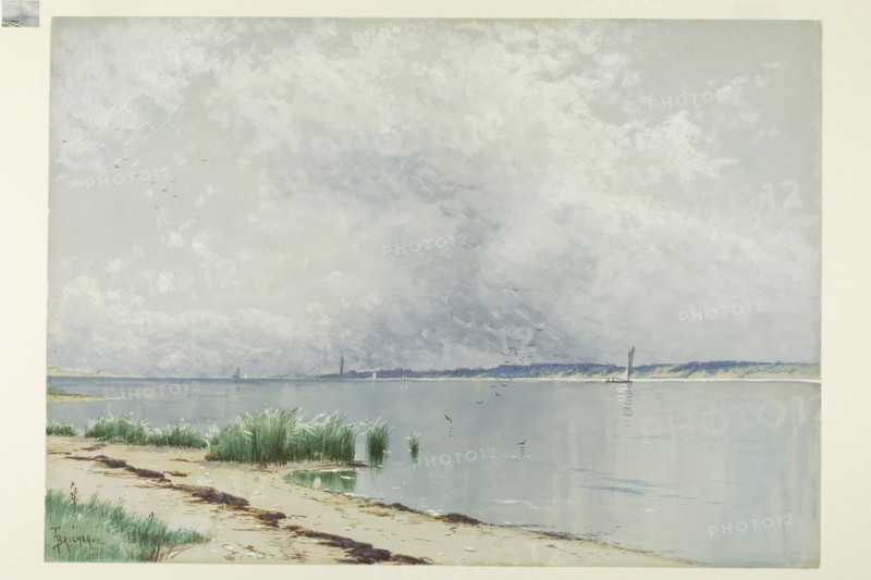 Reflected Reeds, c. 1875, Alfred Thompson Bricher, American, 1837-1908, United States, Watercolor, heightened with white gouache, over traces of graphite, on blue wove paper, 369 x 523 mm