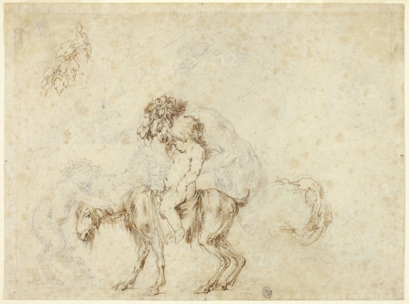 Study for Satyr Family Walking (recto), Sketches of Five Decorative Vessels (verso), c. 1657, Stefano della Bella, Italian, 1610-1664, Italy, Pen and brown ink and graphite  (recto and verso) on ivory laid paper, 135 x 183 mm