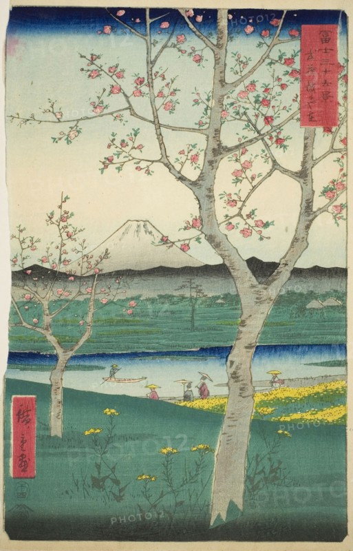 The Outskirts of Koshigaya in Musashi Province (Musashi Koshigaya zai), from the series Thirty-six Views of Mount Fuji (Fuji sanjurokkei), 1858, Utagawa Hiroshige ?? ??, Japanese, 1797-1858, Japan, Color woodblock print, oban