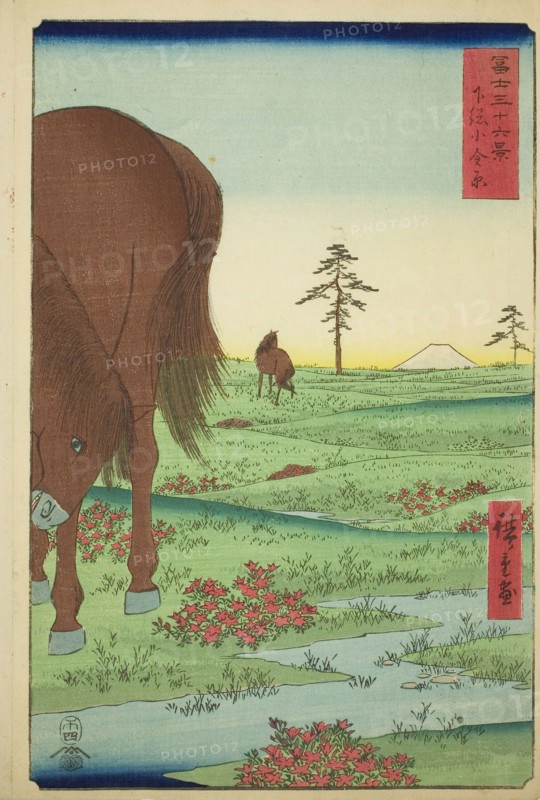 Kogane Plain in Shimosa Province (Shimosa Koganehara), from the series Thirty-six Views of Mount Fuji (Fuji sanjurokkei), 1858, Utagawa Hiroshige ?? ??, Japanese, 1797-1858, Japan, Color woodblock print, oban