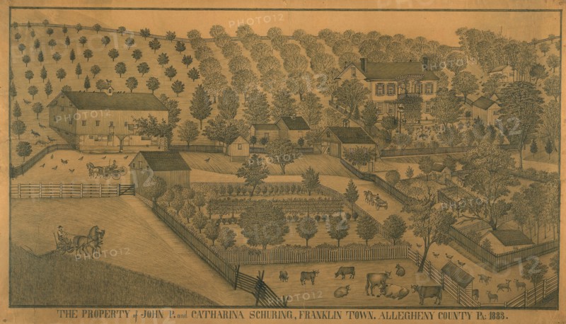 The Property of John P. and Catharina Schuring, Franklin Town, Allegheny County, Pennsylvania, 1883, Ferdinand A. Brader, American, fl. 1883-1893, United States, Graphite on paper, 780 x 1345 mm