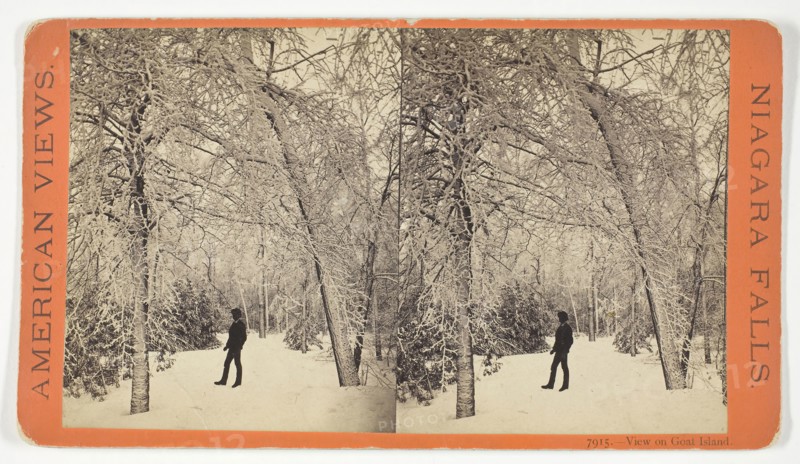 View on Goat Island, 1869/73, Anthony & Company, American, active 1848–1901, United States, Albumen print, stereo, No. 7915 from the series "American Views, Niagara Falls