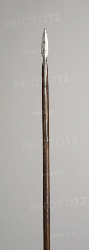 Infantry Pike, 1700/1800, German, Germany, Steel and wood (oak), L. 188 cm (74 in.)