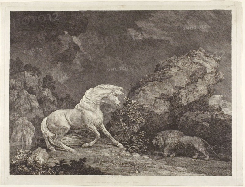 A Horse Frightened by a Lion, 1777, George Stubbs, English, 1724-1806, England, Etching with engraving on paper, 345 × 460 mm (image), 374 × 480 mm (plate), 385 × 500 mm (sheet)