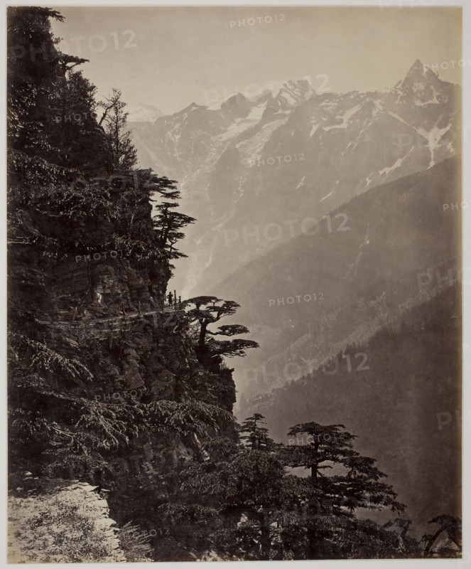 Untitled, c. 1865, Samuel Bourne, English, 1834–1912, England, Albumen print, 28.7 × 23.5 cm (image/paper), 43.3 × 34.5 cm (mount)