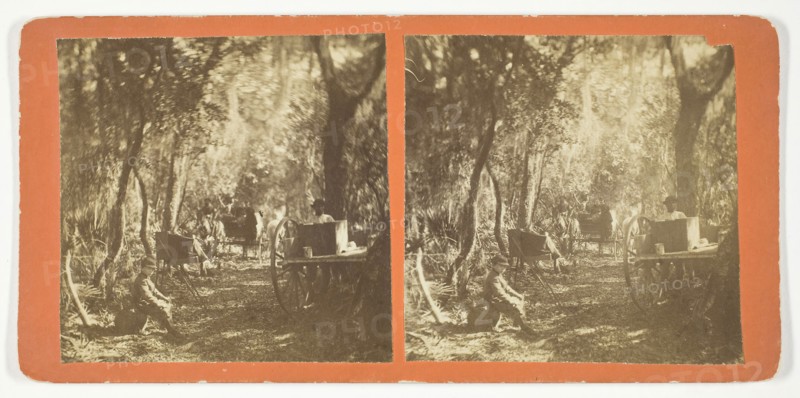 Moss Avenue, Fort George, Florida, 1872, American, 19th century, United States, Albumen print, stereo, 7.5 x 7.5 cm (each image), 8.4 x 17.5 cm (card)