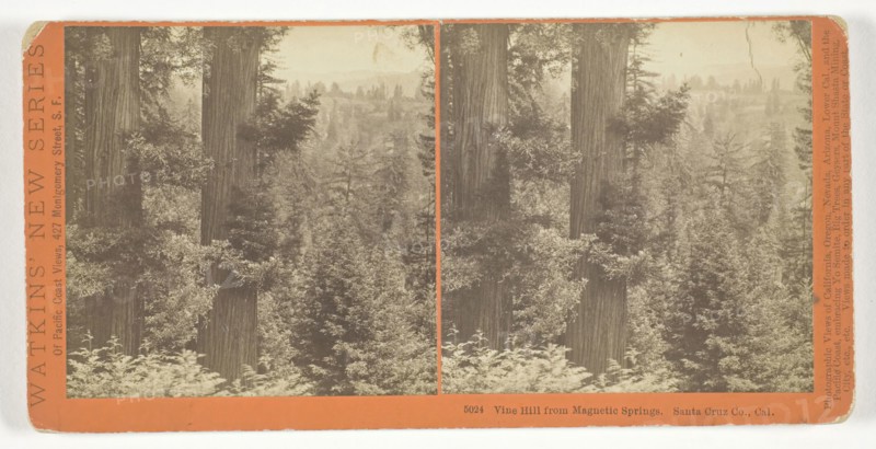 Vine Hill from Magnetic Springs. Santa Cruz Co., Cal., 1878/82, Carleton Watkins, American, 1829–1916, United States, Albumen print, stereo, No. 5024 from the series "Watkins' New Series