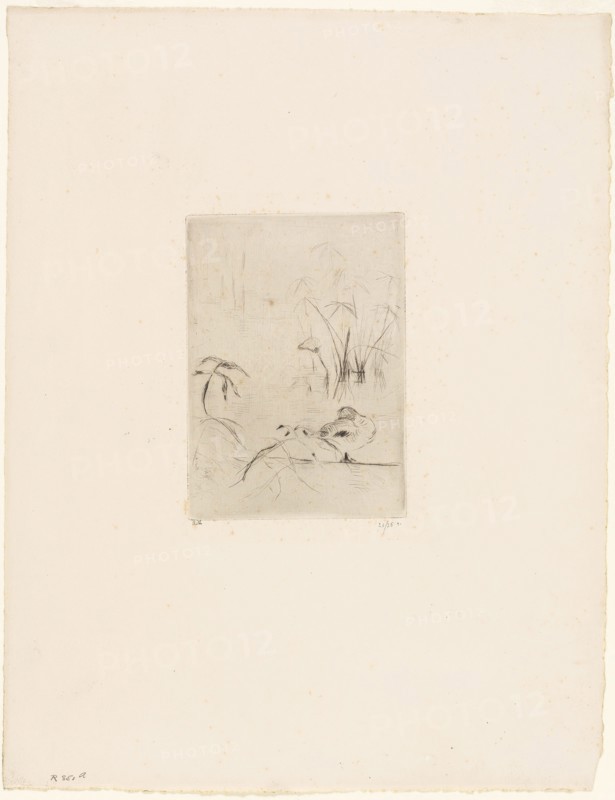 The Duck, 1889, Berthe Morisot, French, 1841-1895, France, Drypoint in black on cream laid paper, 139 × 100 mm (image), 139 × 100 mm (plate), 358 × 277 mm (sheet)