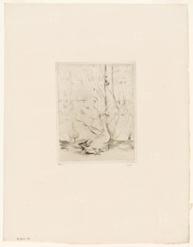 The Goose, 1889, Berthe Morisot, French, 1841-1895, France, Drypoint on cream laid paper, 144 × 112 mm (image), 151 × 119 mm (plate), 354 × 277 mm (sheet)