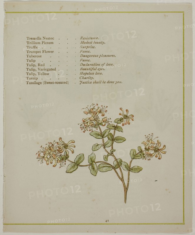 Valerian Through Volkamenia, from The Illuminated Language of Flowers, published 1884, probably Edmund Evans (English, 1826-1905), after Kate Greenaway (English, 1846-1901), printed by Edmund Evans, England, Color wood engraving (chromoxylograph) reproduction of a watercolor on paper