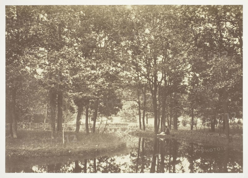 Untitled, c. 1850, Charles Marville, French, 1813–1879, France, Albumen print, from the series "Bois de Boulogne