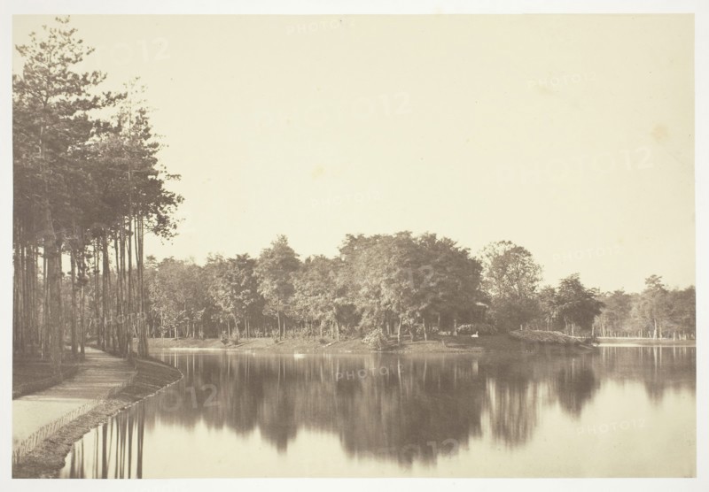 Untitled, c. 1850, Charles Marville, French, 1813–1879, France, Albumen print, from the series "Bois de Boulogne