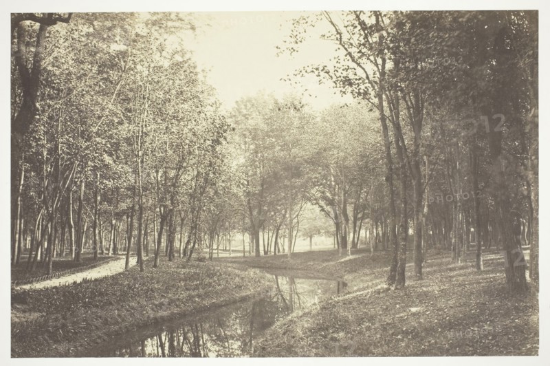 Untitled, c. 1850, Charles Marville, French, 1813–1879, France, Albumen print, from the series Bois de Boulogne
