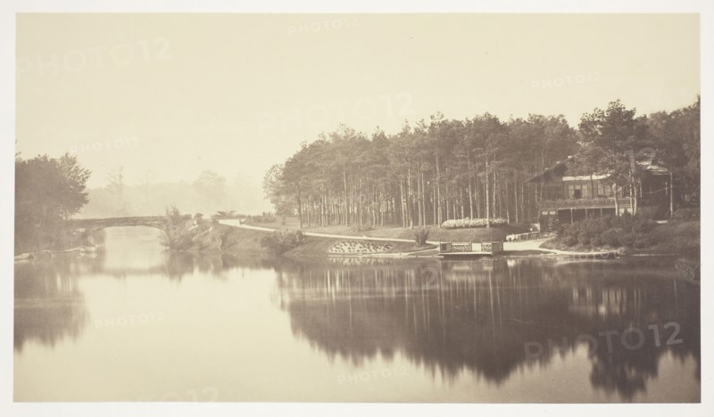 Untitled, c. 1850, Charles Marville, French, 1813–1879, France, Albumen print, from the series "Bois de Boulogne