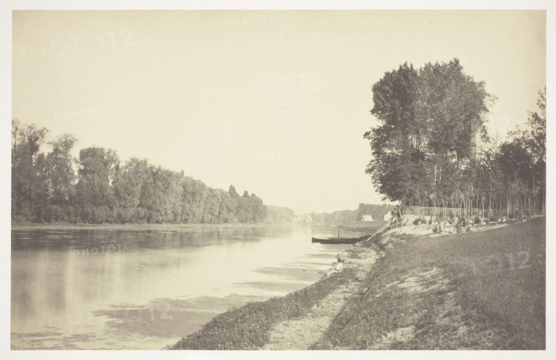 Untitled, c. 1850, Charles Marville, French, 1813–1879, France, Albumen print, from the series "Bois de Bologne