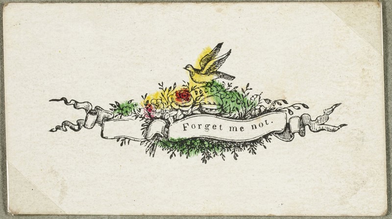 Forget Me Not (valentine), c. 1830, Unknown Artist, American or English, 19th century, United States, Engraving with hand-coloring on ivory card, 39 x 69 mm