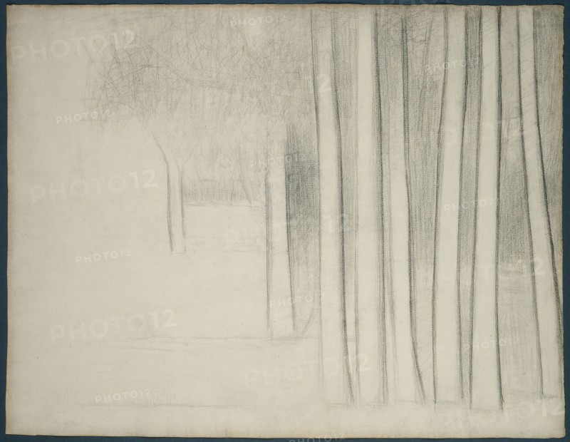 Tree Trunks (study for La Grande Jatte), 1884, Georges Seurat, French, 1859-1891, France, Black Conté crayon on ivory laid paper, 474 × 615 mm