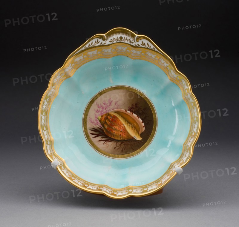 Plate, 1813/19, Worcester Porcelain Factory (Flight, Barr & Barr Period), Worcester, England, founded 1751, Worcester, Soft-paste porcelain with polychrome enamels and gilding, 4.8 x 18.9 x 19.7 cm (1 7/8 x 7 7/16 x 7 3/4 in.)