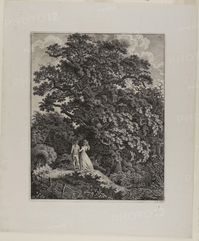 Woodland Landscape with an Elegant Couple Walking Beneath an Oak, 1796/1800, Carl Wilhelm Kolbe, the elder, German, 1759-1835, Germany, Etching on ivory laid paper, 338 x 279 mm (image), 343 x 275 mm (plate), 471 x 392 mm (sheet)