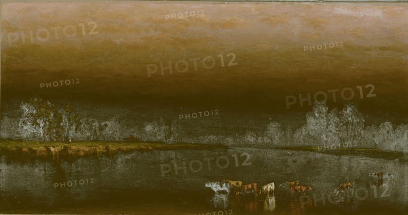 Cows in a Pond at Sunset, 1860, Sanford Robinson Gifford, American, 1823–1880, New York, Oil on canvas, 19.1 × 35.9 cm (7 1/2 × 14 1/8 in.)
