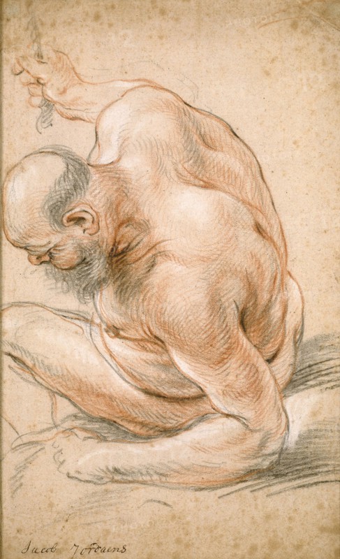 Nude Old Man Seated, Leaning on His Forearm, Facing Left, c. 1640, Jacob Jordaens, Flemish, 1593-1678, Flanders, Red and black chalk, with touches of white chalk, on cream laid paper, 344 × 217 mm