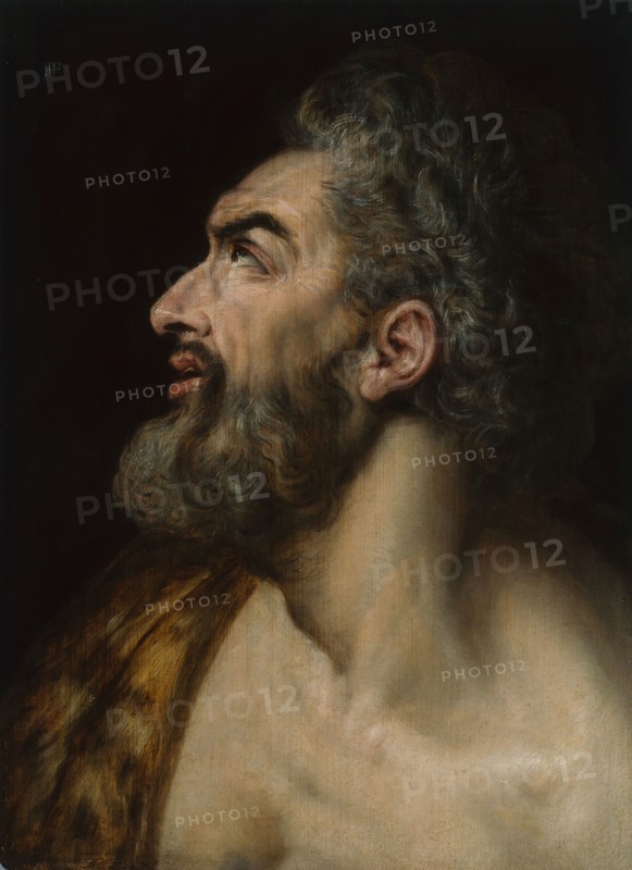 Study Head of a Bearded Man, c. 1565, Frans Floris, Netherlandish, 1519/20-1570, Flanders, Oil on panel, 18 5/16 × 13 1/4 in. (46.5 × 33.6 cm)