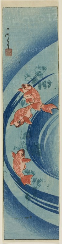 Goldfish and Water Plants, 1850, Ichimei, Japanese, active c. 1850-70, Japan, Color woodblock print
