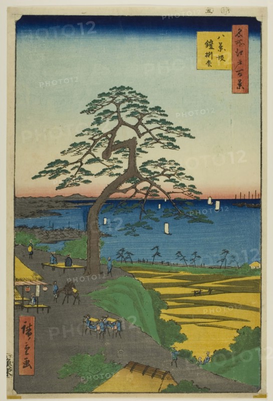 The Armor-hanging Pine at Hakkeizaka (Hakkeizaka Yoroikakematsu), from the series One Hundred Famous Views of Edo (Meisho Edo hyakkei), 1856, Utagawa Hiroshige ?? ??, Japanese, 1797–1858, Japan, Color woodblock print, oban