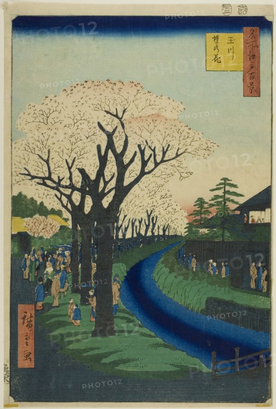 Blossoms on the Tama River Embankment (Tamagawa-zutsumi no hana), from the series One Hundred Famous Views of Edo (Meisho Edo hyakkei), 1856, Utagawa Hiroshige ?? ??, Japanese, 1797–1858, Japan, Color woodblock print, oban