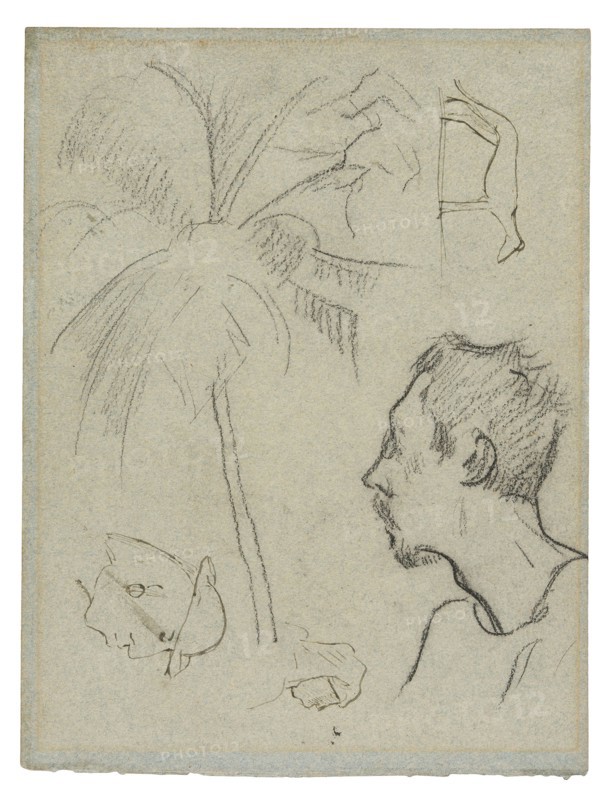 Sketches of Figures and Foliage (recto), Profile of Charles Laval with Palm Tree and Other Sketches (verso), 1887, Paul Gauguin, French, 1848-1903, France, Black fabricated chalk with watercolor, on mottled blue wove paper with blue fibers, altered to light gray (recto), black fabricated chalk, with pen and brown ink, on mottled blue wove paper with blue fibers, altered to bluish-gray (verso) (removed from a sketchbook), 269 × 204 mm