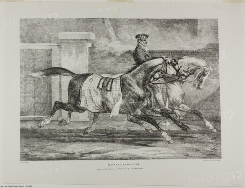 Horses Exercising, plate 6 from Various Subjects Drawn from Life on Stone, 1821, Jean Louis André Théodore Géricault (French, 1791-1824), printed by Charles Joseph Hullmandel (German and English, 1789-1850), published by Rodwell and Martin, France, Lithograph in black on ivory wove paper, 294 × 414 mm (image), 377 × 496 mm (sheet)