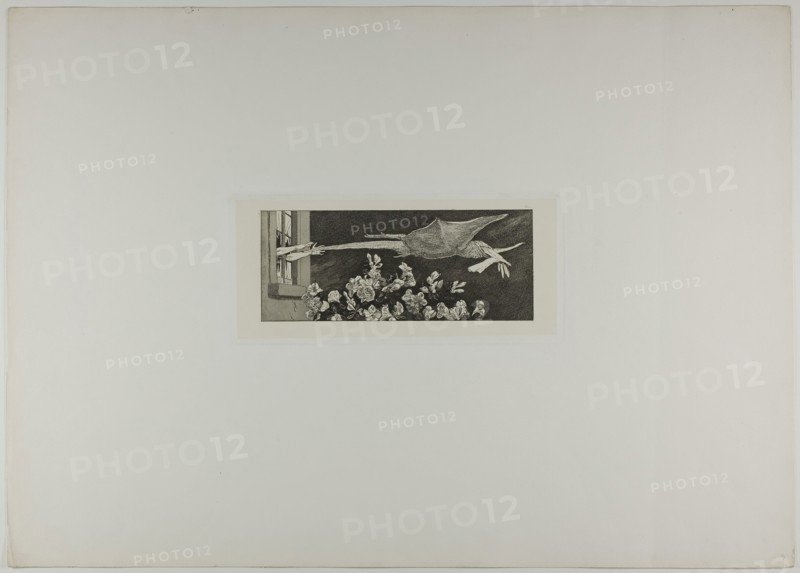Abduction, plate nine from A Glove, 1881, Max Klinger, German, 1857-1920, Germany, Etching and aquatint on ivory chine collé on off-white wove paper, 218 x 89 mm (image), 269 x 120 mm (plate), 663 x 451 mm (sheet)