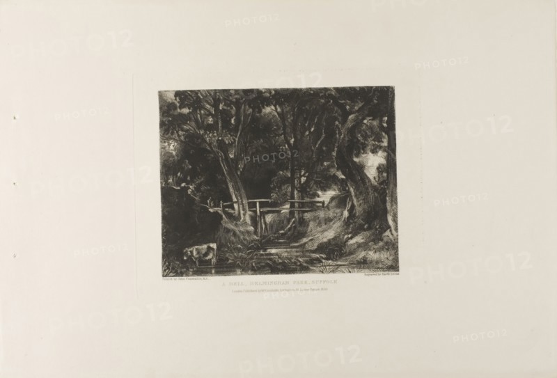 A Dell, Helmingham Park, Suffolk, 1830, David Lucas (English, 1802-1881), after John Constable (English, 1776-1837), England, Mezzotint in black ink on heavy ivory wove paper, 178 × 225 mm (plate), 305 × 465 mm (sheet)