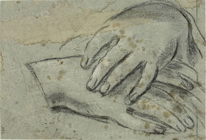 Crossed Hands (recto), Right Foot, Partially Covered by Drapery (verso), 1625/29 (recto), c. 1620 (verso), Jacopo Cavedone, Italian, 1577-1660, Italy, Charcoal, heightened with white chalk (recto and verso), on blue laid paper, 181 x 265 mm