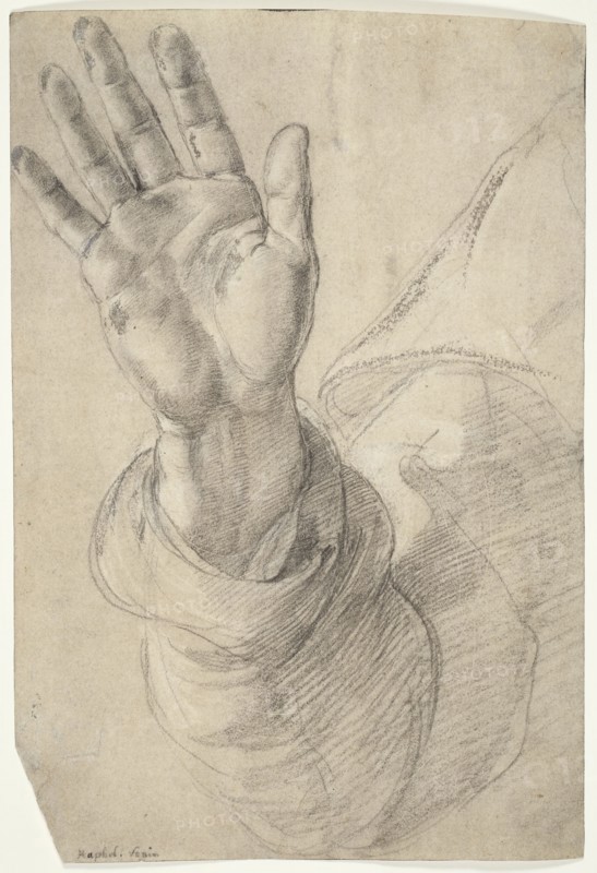 Upraised Right Hand, with Palm Facing Outward: Study for Saint Peter, 1518/20, Raffaello Sanzio, called Raphael, Italian, 1483-1520, Italy, Black chalk, heightened with white chalk and lead white, partially oxidized, over stylus underdrawing, on cream laid paper, 286 x 197 mm