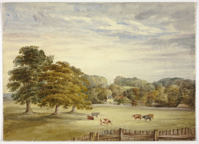 Six Cows Grazing before Country House, n.d., Elizabeth Murray, English, c. 1815-1882, England, Watercolor over graphite on cream wove paper, 260 mm × 362 mm