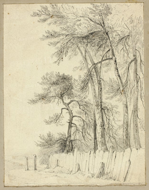 At Pittsfield in June, n.d., Attributed to William Henry Stothard Scott of Brighton, English, 1783-1850, England, Graphite, with spray fixative, on cream wove paper, tipped onto board, 183 × 142 mm