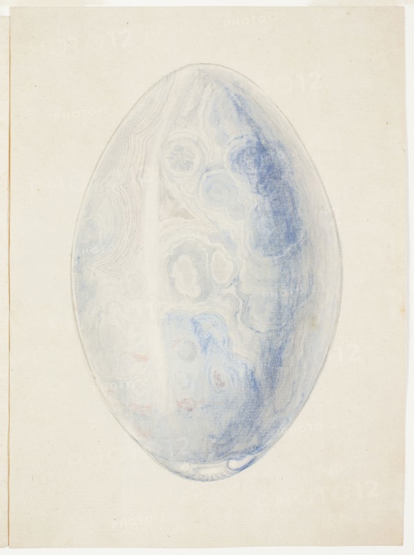 Overview of Oval Shell Stone, n.d., Giuseppe Grisoni, Italian, born Flanders, 1699-1769, Flanders, Gouache over black chalk, on ivory laid paper, 157 × 215 mm