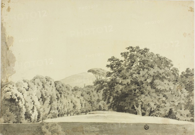 Wooded Landscape, 1754/97, Joseph Wright of Derby, English, 1734-1797, England, Brush and gray wash, over graphite, on cream laid paper, 265 × 381 mm