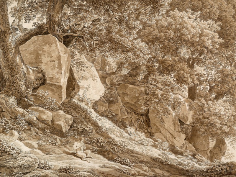 Rocky Landscape with Pan Playing His Flute (In the Park of the Villa Chigi, Ariccia), 1808, Johann Christian Reinhart, German, 1761-1847, Germany, Pen and black ink, and brush and brown wash, on cream laid paper, laid down on cream laid card, 443 x 587 mm (sheet), 577 x 725 mm (max. mount)