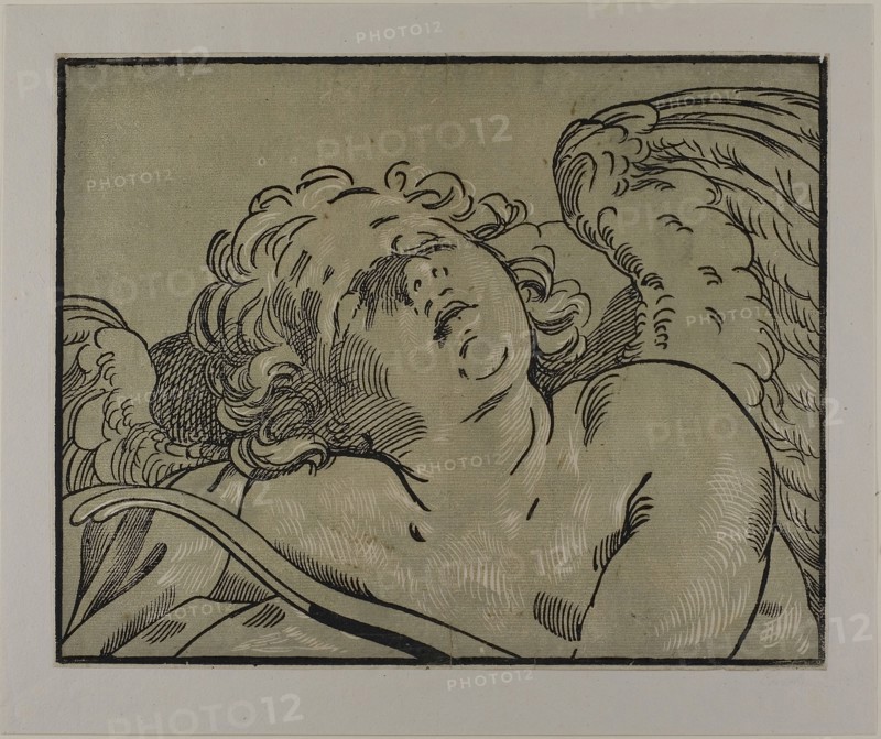 Bust of Sleeping Cupid, 1627/53, Bartolomeo Coriolano (Italian, c. 1599-c. 1676), after Guido Reni (Italian, 1575-1642), Italy, Chiaroscuro woodcut from two blocks in grayish-green and black on cream laid paper, 298 x 378 mm (image), 302 x 380 mm (sheet)