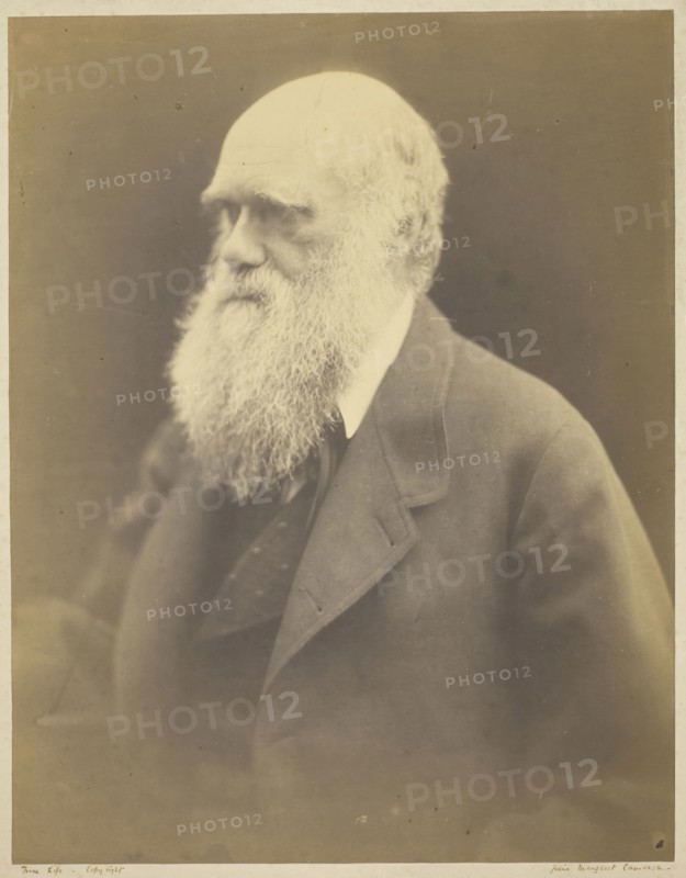 Charles Darwin, 1868, Julia Margaret Cameron, English, 1815–1879, England, Albumen print, 30.5 × 23.8 cm (image/paper), 44.1 × 35.9 cm (mount)