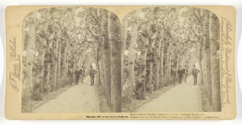 Queen Mary’s Bower, Hampton Court, London, England, 1892, Underwood & Underwood, American, active 1881–1920, United States, Albumen silver print, stereo, 8 x 7.7 cm (each image), 8.8 x 17.8 cm (card)