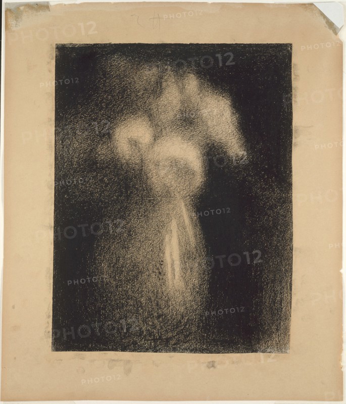 Roses in a Vase, 1881/83, Georges Seurat, French, 1859-1891, France, Black Conté crayon on ivory laid paper, discolored to tan, edge mounted on tan wove paper, 311 × 240 mm